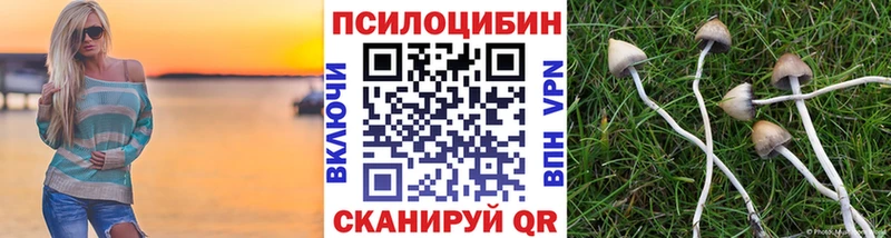 наркота  Звенигород  Галлюциногенные грибы ЛСД 
